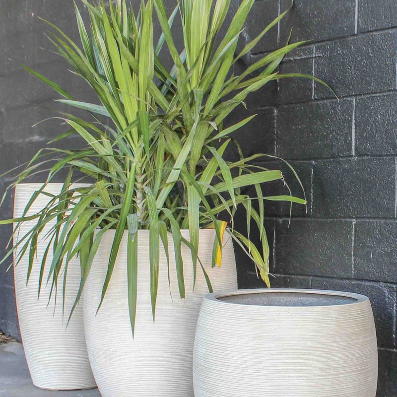 Artificial agave plants in tall planters
