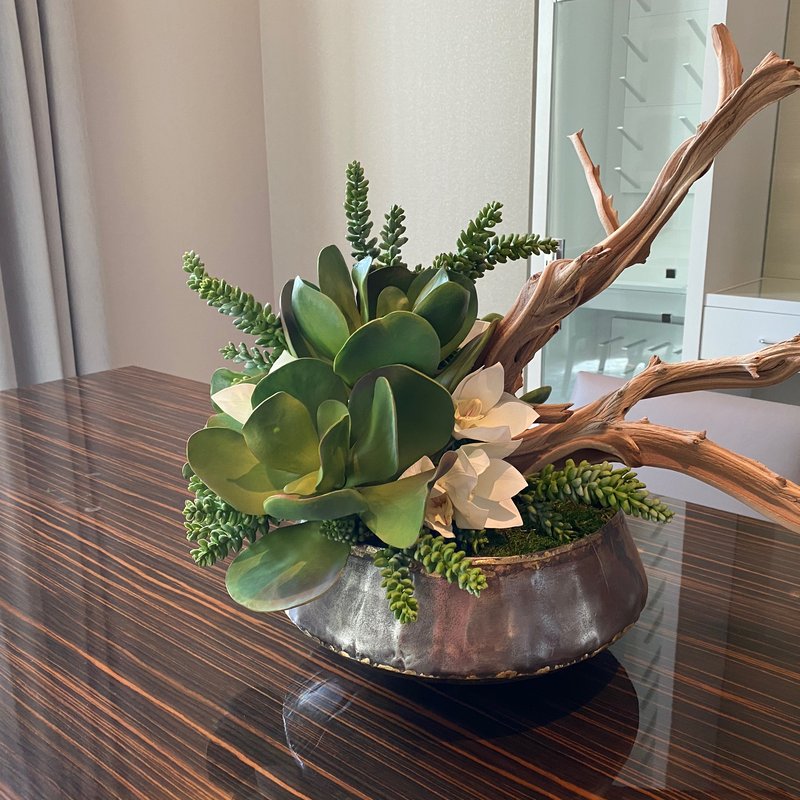 Succulents